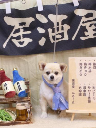 20240613ポロくん